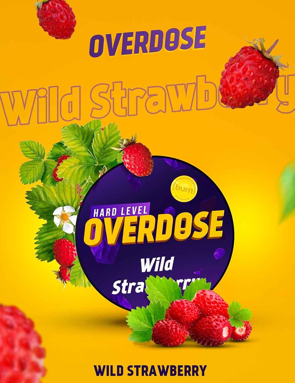 Wild Strawberry (Waild Strwbrry)